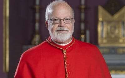 Cardinal ‘O Malley on CIC Book VI amendments
