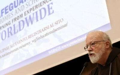 Safeguarding begins in Homes and Schools