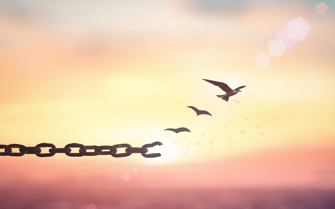 UCESM offers Two Part Webinar Series on Spiritual Abuse