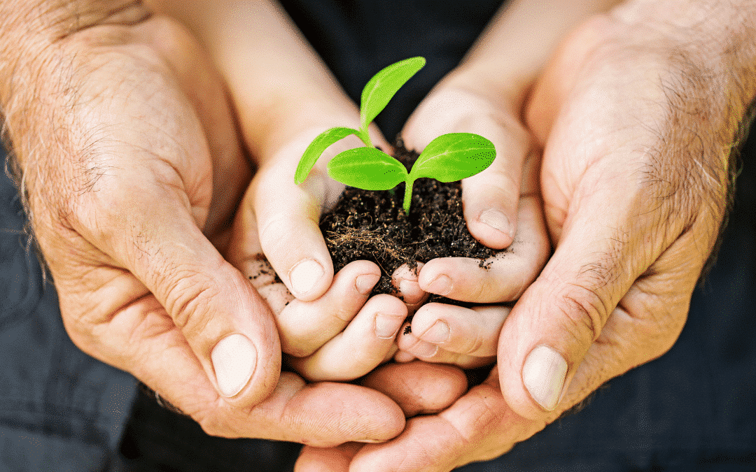 Creating a Pathway toward Renewal: the Healing Garden