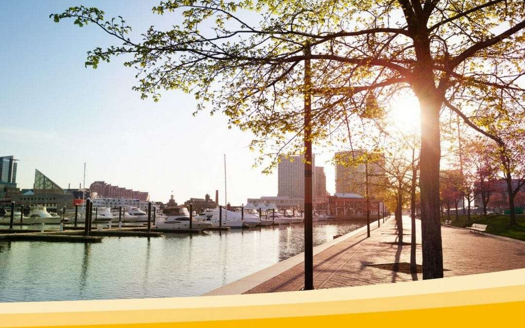 Nov. 18: A Global movement to protect children