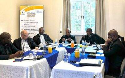 Testing the Universal Guidelines Framework in Zimbabwe 