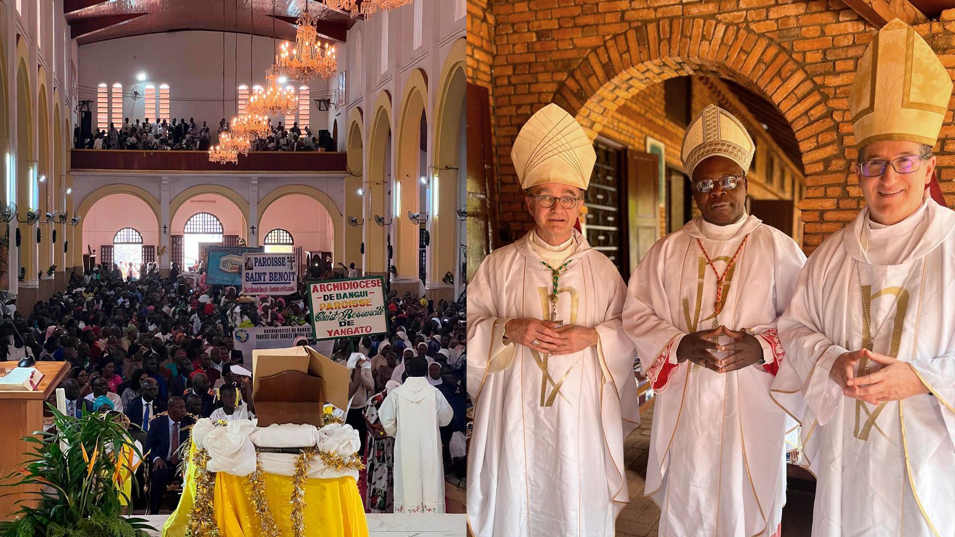 safeguarding in the Central African Republic Safeguarding In The Central African Republic