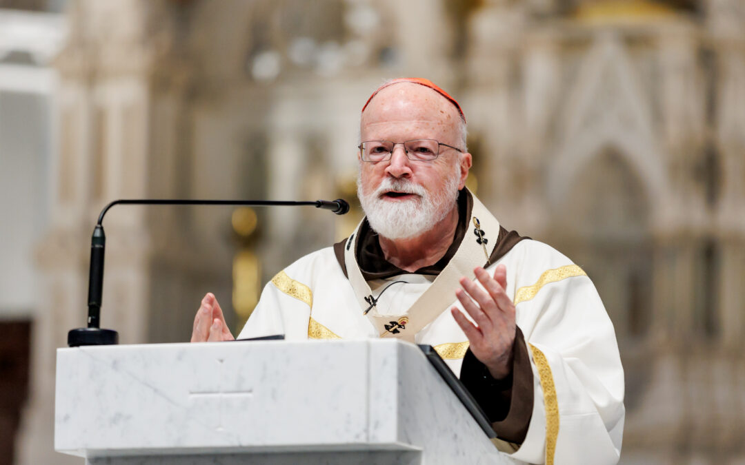 Thank You Cardinal Seán