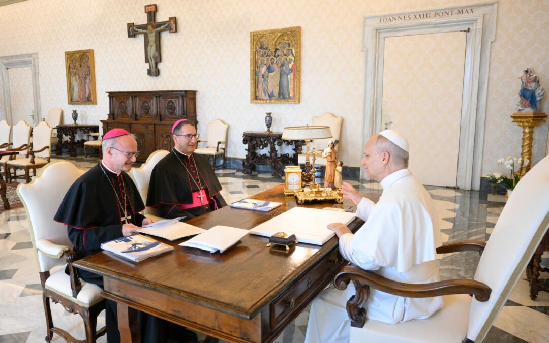 President Verny Presents Commission’s Second Annual Report to Pope Leo XIV