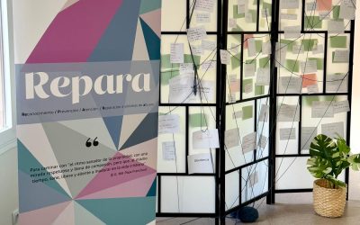 REPARA: Learning from the Magisterium of Survivors