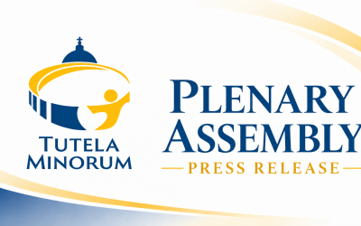 press relase – Plenary Assembly plans next phase of Commission’s work